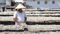 Ribuan ikan dijemur di tempat ini.