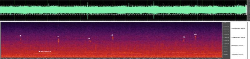 Osilogram dan audiogram (1-6) suara kongkang jeram pada habitat air terjun yang bising (di antaragaris putih). Warna terang di bawah audiogram suara kongkang jeram adalah white noise.