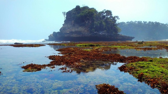 Pantai Jonggring Saloko Malang.