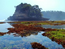 Pantai Jonggring Saloko, Fenomena Langka di Surga Tersembunyi Malang Selatan