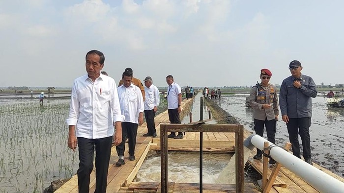 Presiden Jokowi.