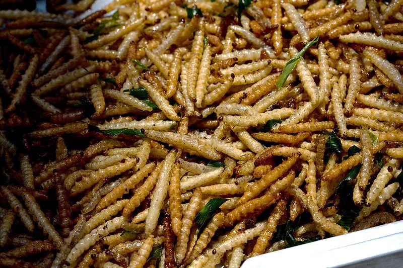 Pria Singapura Ini sudah 9 Tahun Ngemil Kecoak dan Kalajengking