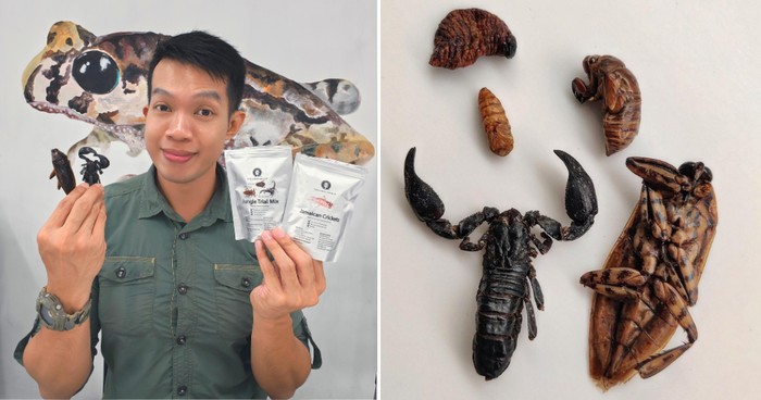 Pria Singapura Ini sudah 9 Tahun Ngemil Kecoak dan Kalajengking