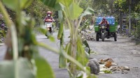 Warga melintasi jalan rusak yang ditanami pohon pisang di Desa Condro, Kecamatan Pasirian, Lumajang, Jawa Timur, Kamis (11/7/2024).