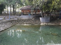 Kisah Mistis Sendang Tawun Ngawi, Bikin Enteng Jodoh, Habitat Bulus Jelmaan