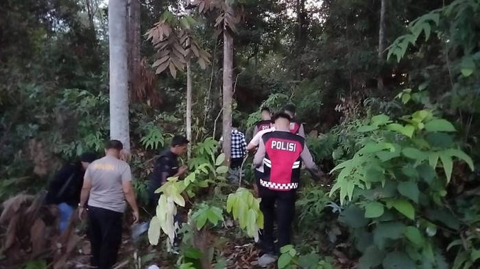 Tim gabungan melakukan penyisiran di hutan mencari Sandit, tahanan kabur usai divonis di PN Sarolangun