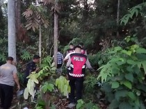 85 Personel Gabungan Sisir Hutan Cari Sandit Tahanan Kabur di Sarolangun