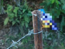 Tragis! Balita Ini Meninggal Dunia Usai Makan Kerupuk Beracun