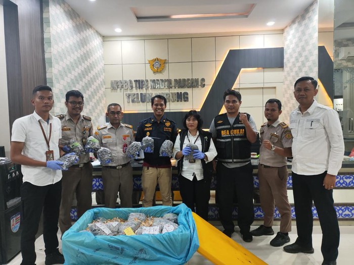 Bea Cukai Teluk Nibung amankan ratusan ekor belangkas yang akan diselundupkan ke Malaysia.