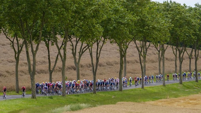 Bingkai Sepekan: Menikmati Balapan dan Indahnya Jalur Tour de France The pack rides during the ninth stage of the Tour de France cycling race over 199 kilometers (123.7 miles) with start and finish in Troyes, France, Sunday, July 7, 2024. (AP Photo/Jerome Delay)