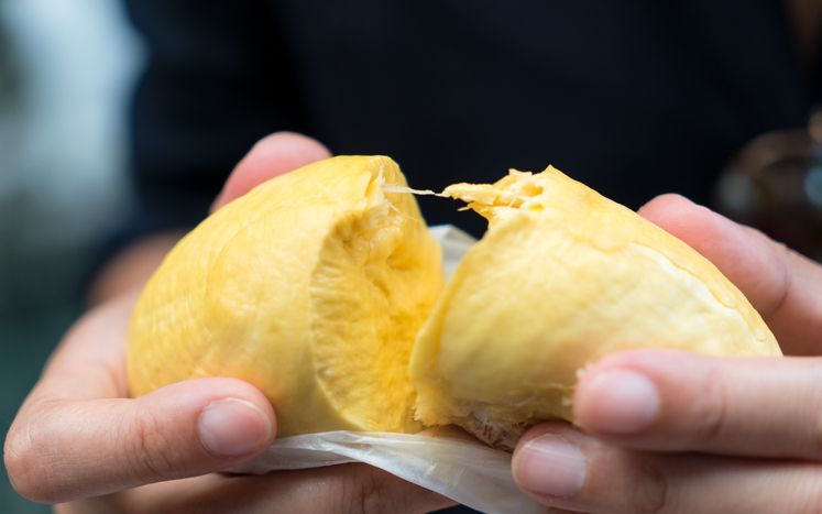 pantangan usai makan durian