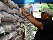 35 Ribu Ton Bansos Beras Bakal Dibagikan di Jateng-DIY Mulai Besok