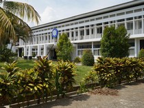 Ini 2 Kampus Terbaik Bidang Farmasi di Indonesia Versi QS WUR by Subject 2025