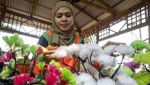 Limbah Plastik Disulap Jadi Tanaman Hias Cantik