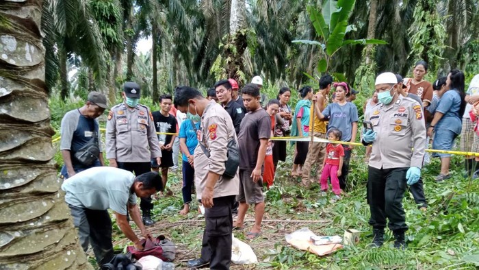 Lokasi penemuan mayat korban. (Foto: Dok Polres Rokan Hulu)