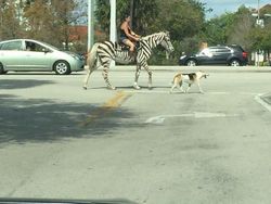 Orang-orang Ini Santuy Banget, Definisi Living in the Moment