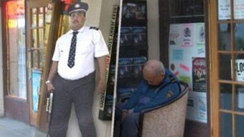 Benar-benar lagi undercover. Foto: adictamente via Bored Panda