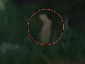 Heboh Penampakan Pocong Diduga Orang Iseng di Parepare, Lurah Selidiki
