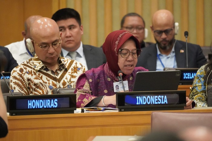 Risma di New York