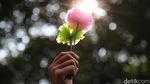 Wow! Karya Seni Ciamik Ini Dibuat dari Limbah Plastik