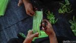 Wow! Karya Seni Ciamik Ini Dibuat dari Limbah Plastik