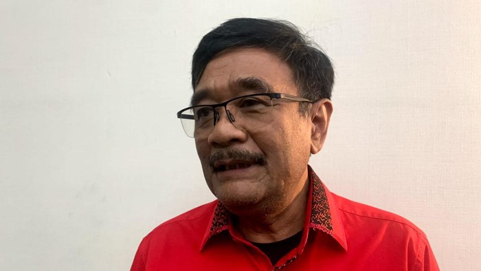 Djarot Saiful Hidayat. (Mulia Budi/detikcom)