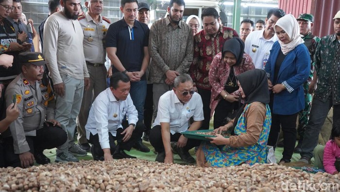 Menteri Perdagangan Zulkifli Hasan melepas ekspor pinang Jambi, Sabtu (13/7/2024).