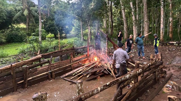 Polisi membakar arena judi sabung ayam di Bulukumba, Sulsel.