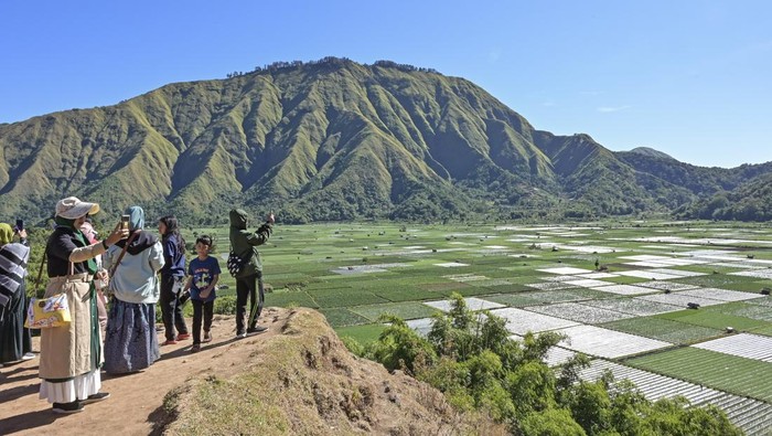 Cantiknya Wisata Bukit Selong Sembalun di Kaki Gunung Rinjani Sejumlah pengunjung memotret panorama bukit Selong dengan kamera gawainya di Sembalun, Kecamatan Sembalun, Lombok Timur, NTB, Minggu (14/7/2024). Wisatawan yang berkunjung ke objek wisata bukit Selong di kaki Gunung Rinjani tersebut dikenakan tiket masuk Rp5 ribu per orang untuk menikmati wisata alam dengan panorama perbukitan dan hamparan ladang. ANTARA FOTO/Ahmad Subaidi/nym.