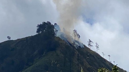 Kepulan asap di puncak Bukit Gedong, Sembalun, Lombok Timur. Foto: TNGR.