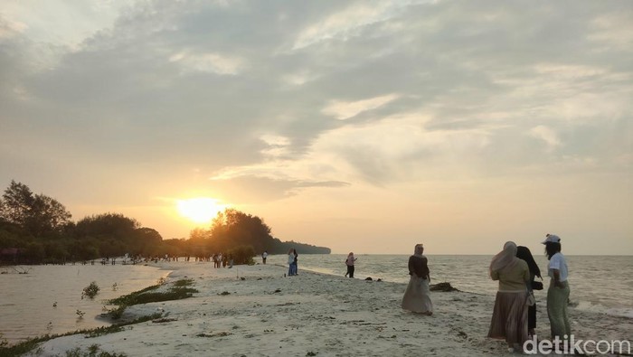 Pantai Mangrove Kampung Nipah