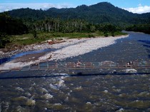 Akibat Longsor, Tambang Rakyat di Gorontalo Ditutup Sementara