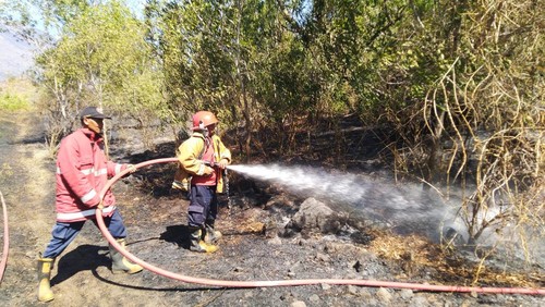 Petugas Damkartan Karangasem berjibaku memadamkan kebakaran lahan di Banjar Dinas Candigeha, Desa Dukuh, Kecamatan Kubu, Kabupaten Karangasem, Minggu (14/7/2024). (Foto: Dok. Damkartan Karangasem)