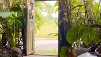Pintu masuk di Omah Minggir.