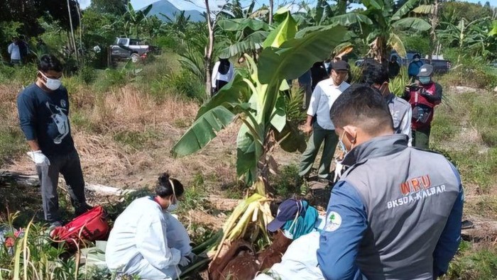 Balai Konservasi Sumber Daya Alam (BKSDA) Kalimantan Barat melakukan investigasi terkait kasus kematian orang utan di Kayong Utara (Antara)
