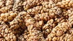 10 Biji Kopi Termahal di Dunia yang Jadi Buruan Para Sultan