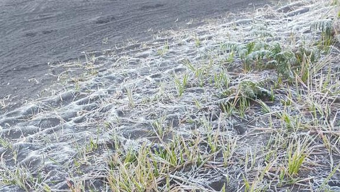 Fenomena embun es di kawasan Gunung Bromo.