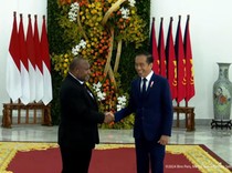 RI Resmi Ekspor Listrik ke Papua Nugini