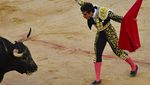 Kemeriahan Adu Banteng di Negeri Matador