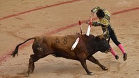 Namun, menurut beberapa pakar, kedekatan budaya Spanyol dengan banteng justru sudah ada sebelum kedatangan orang Romawi.