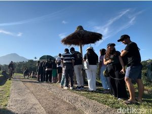 Ngopi Seru di Pinggir Sawah Bonus Pemandangan Gunung ala Nyarik Kopi Tabanan