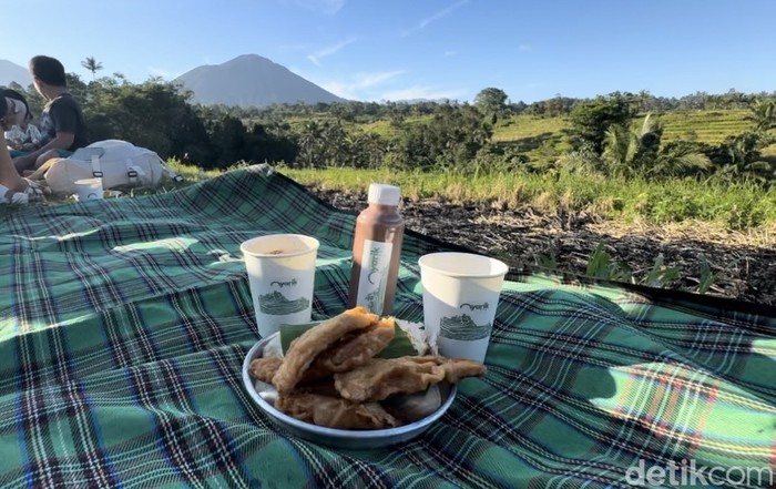 Nyarik Kopi di Jalan Subak Bangkyang Sidem, Desa Babahan, Kecamatan Penebel, Kabupaten Tabanan, Bali, Minggu (14/7/2024. (I Nyoman Adhisthaya Sawitra/detikBali)