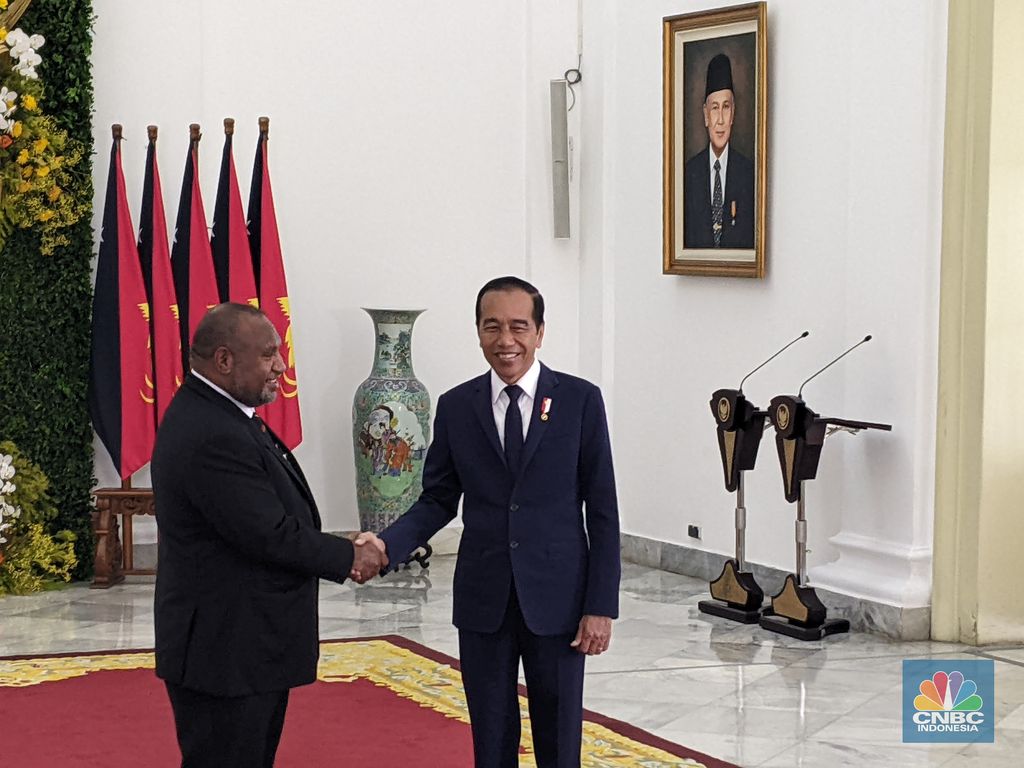 Presiden Joko Widodo (Jokowi) menyambut kunjungan kenegaraan Perdana Menteri Papua Nugini James Marape di Istana Kepresidenan, Bogor, Senin (15/7/2024).  (CNBC Indonesia/Emir Yanwardhana)