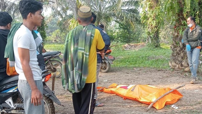Wanita ditemukan terkubur di kebun sawit setelah dilaporkan hilang dua pekan.