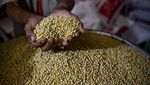 Perajin Tahu di Sumedang Kurangi Produksi Gara-gara Kedelai Mahal