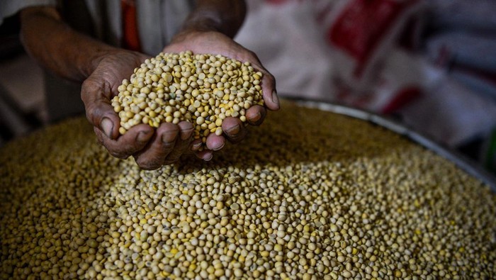 ANTARA FOTO/Raisan Al Farisi Pekerja menyiapkan kedelai untuk memproduksi tahu di Desa Giriharja, Kabupaten Sumedang, Jawa Barat, Selasa (16/7/2024). Menurut perajin tahu di Sentra Tahu Giriharja, Kabupaten Sumedang, semenjak kenaikan kedelai impor pada awal Juli 2024, perajin tahu mengurangi produksi tahu sebanyak 50 persen atau hanya memproduksi dua kuintal tahu per hari dibandingkan sebelum kenaikan harga kedelai yang mencapai empat kuintal tahu per hari. ANTARA FOTO/Raisan Al Farisi/wpa.