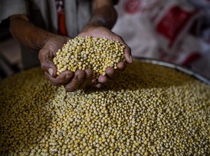 Kementan Gandeng TNI Garap Lahan 10.000 Ha buat Geber Produksi Kedelai