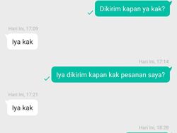 Chat Nggak Nyambung yang Nyebelin, Ikut Geregetan Bacanya