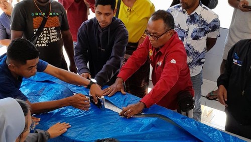 Jenazah PMI ilegal asal NTT, Petrus Tupen Gego alias Rahman, tiba di Kargo Bandara El Tari Kupang, NTT, Selasa (16/7/2024). (Dok. Suratmi Hamida)