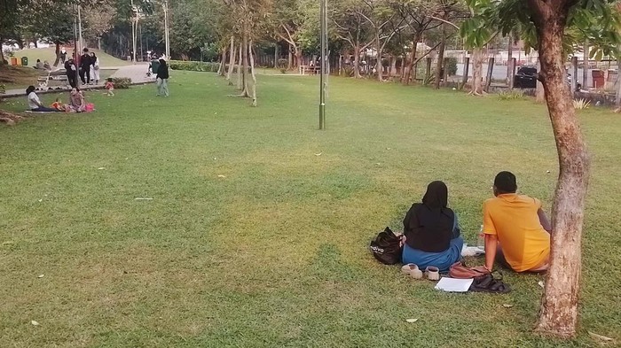 Taman Kota Waduk Ria Rio adalah tempat favorit masyarakat sekitar untuk menikmati penghujung hari. Taman ini sejuk dengan pohon baobab yang besar.